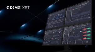 Discover Trading Insights with the Trading Platform PrimeXBT Discover Trading Insights with the Trading Platform PrimeXBT